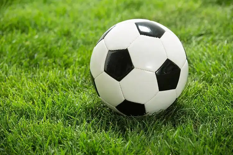 胜负彩推荐列表界面